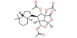 Chromodorolide B